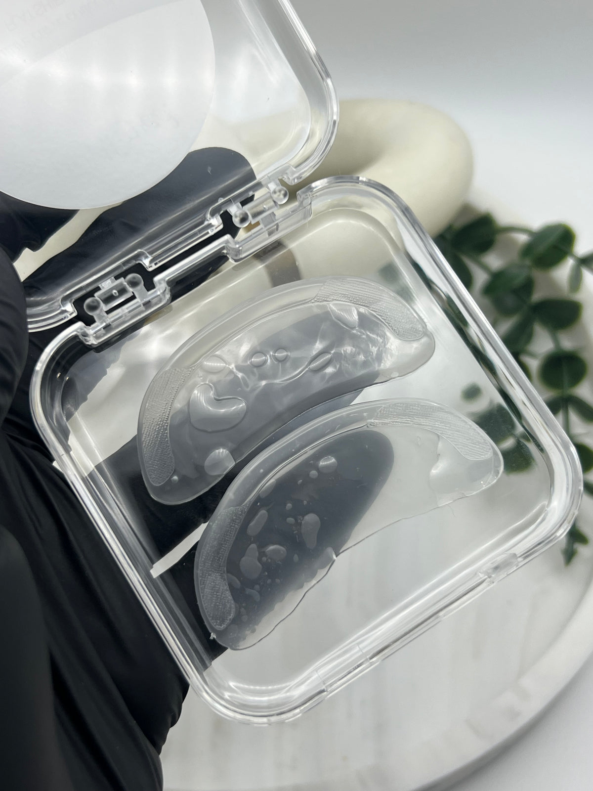 Signature Curve Collection